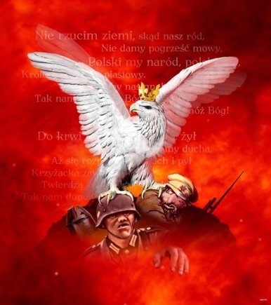 http://c.wrzuta.pl/wi5274/028382f3000fb1714afa8d3b/0/orzel%20bialy