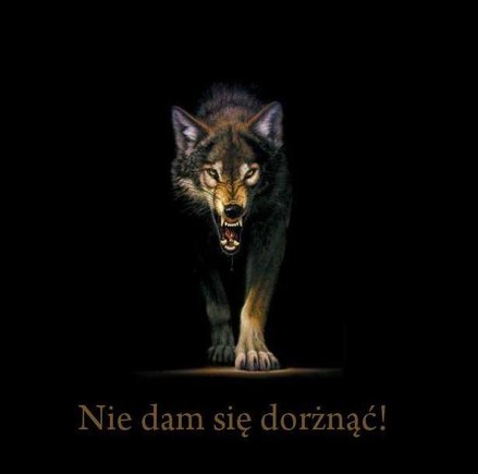 Tutejszy