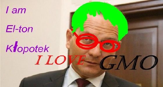 fot.internet, graf.R,Kożuchowki